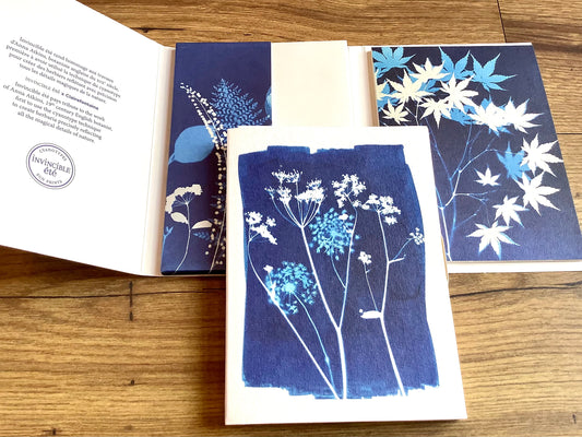 Briefpapier Cyanotyp Korrespondenzset Clairefontaine