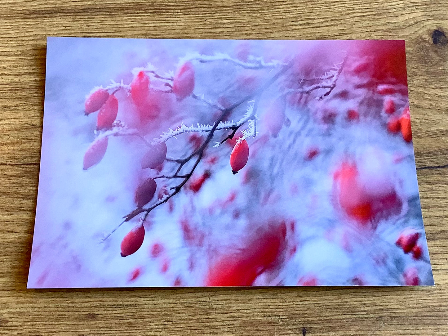 Postkarte Hagebuttentraum (art+nature)