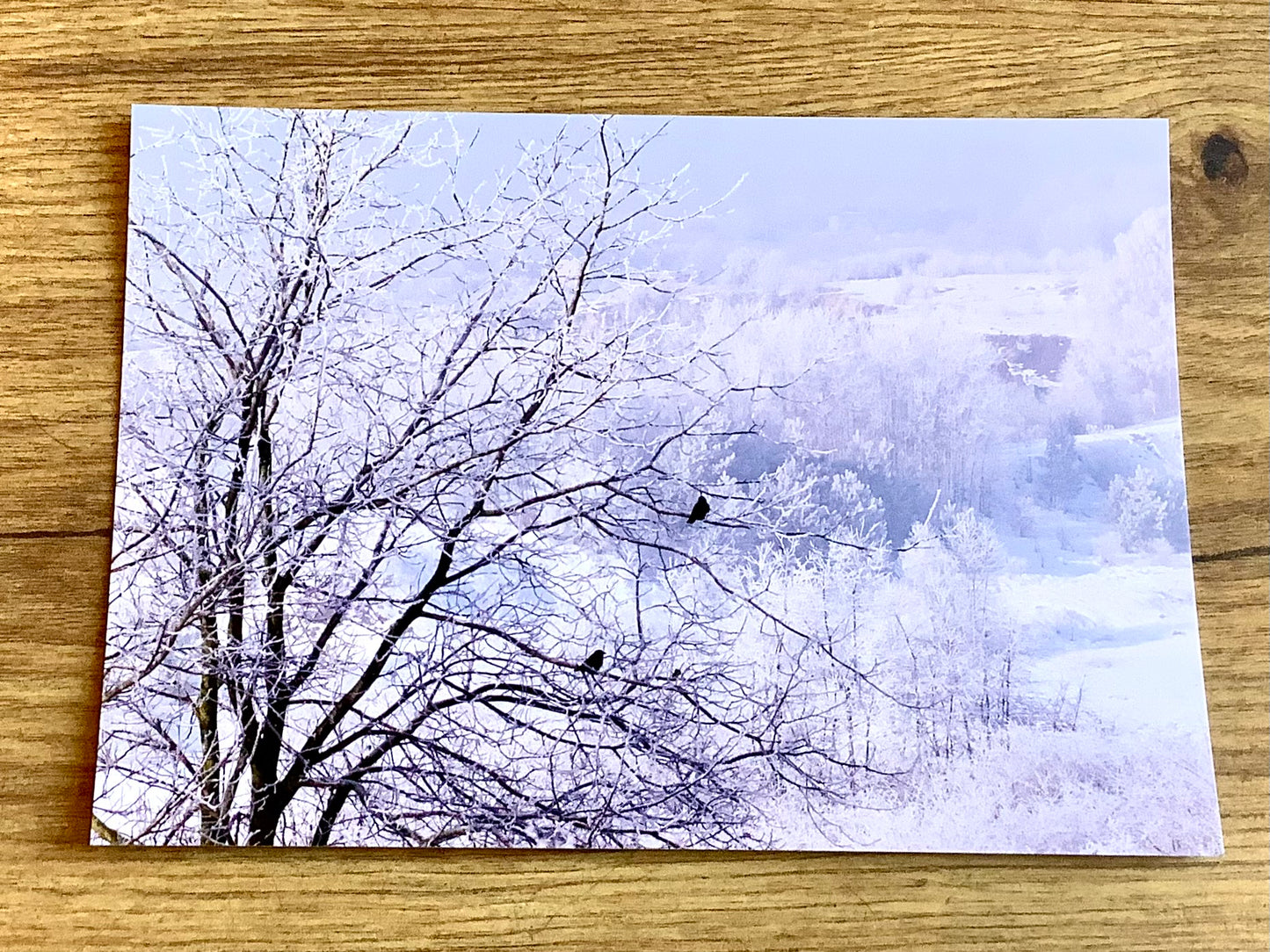 Postkarte Winterlandschaft II (art+nature)