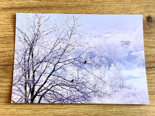 Postkarte Winterlandschaft II (art+nature)