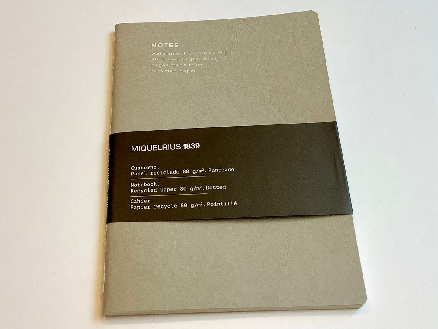 Notizbuch A5 dotted hellgrau Miquelrius Recyclingleder