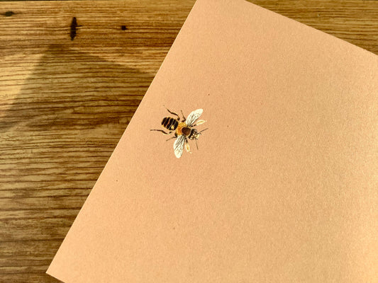 Notizblock Biene 10x10cm "30x40" Recyclingpapier