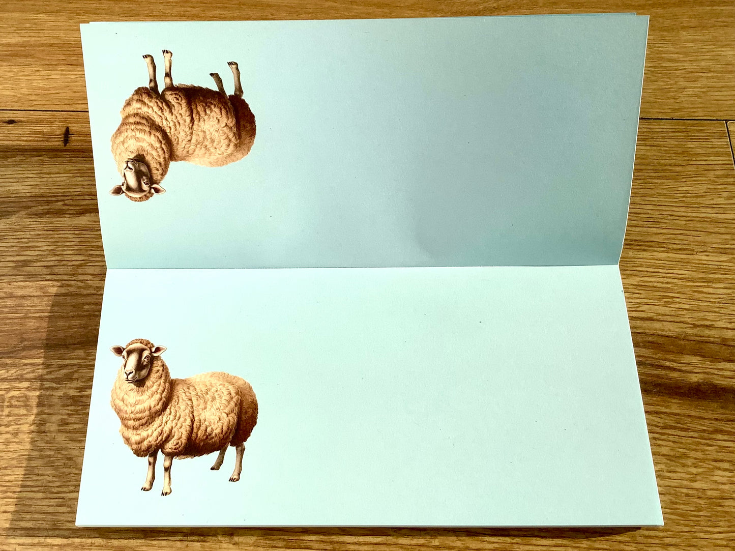 Notizblock quer Schaf "Maria" 10x21cm "30x40" RC