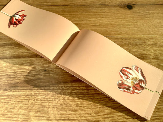 Notizblock lang Tulpe 10x21cm Recycling "30x40"