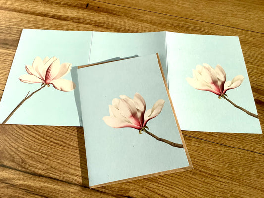 Klappkarte Magnolie A6 Leporello ("30x40“)