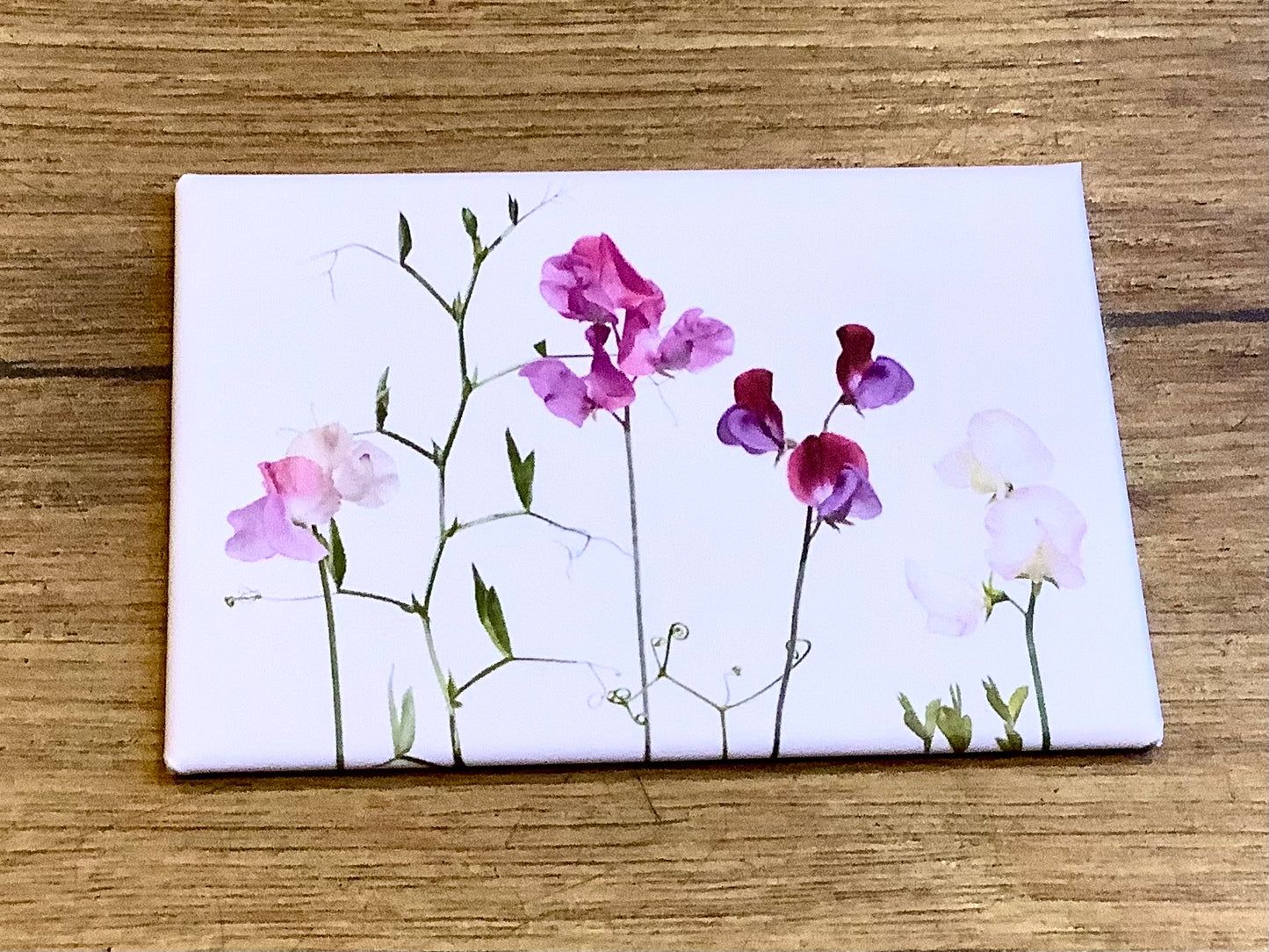 Magnet Wicken 5x8cm („Zwiebelblüher“)