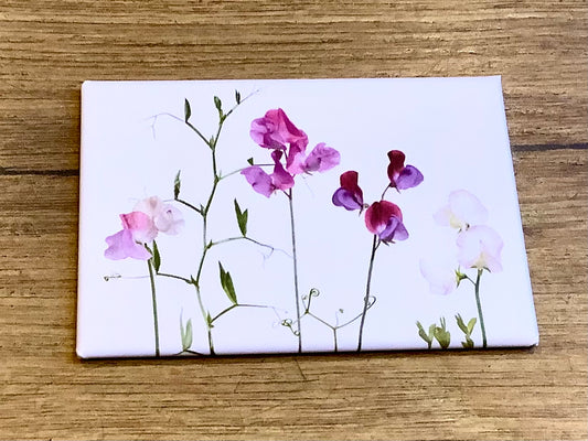 Magnet Wicken 5x8cm („Zwiebelblüher“)