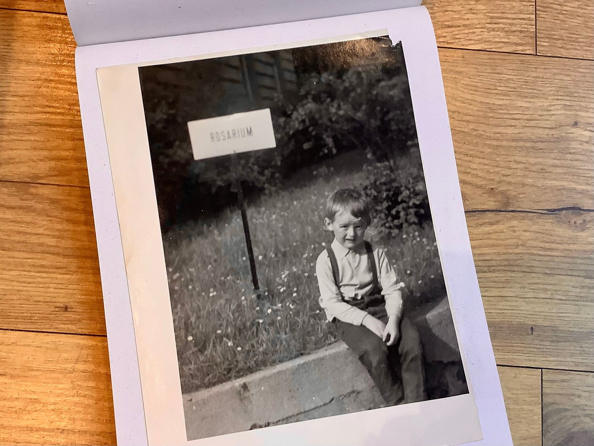 Skizzenbuch A4 quer Fische hellgrau RC (Deafmessanger) - Polly Paper - Umweltfreundliche Schreibwaren