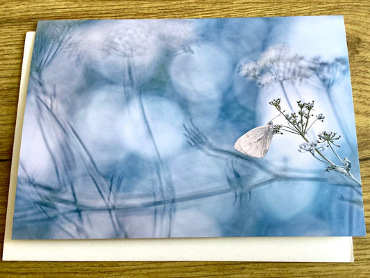 Briefkarte Sommernachtstraum (Magda Wasiczek)