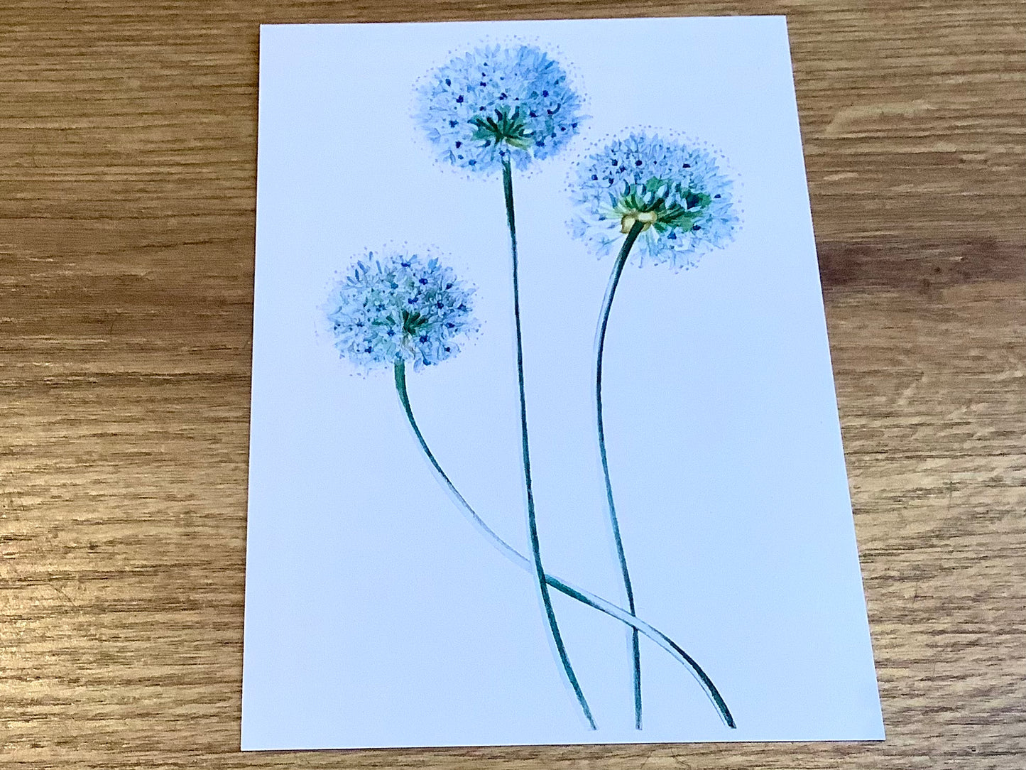 Postkarte Blaue Blüten (Schnurverlag)