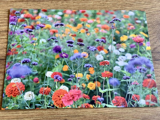 Postkarte Bunte Wiese (art+nature)