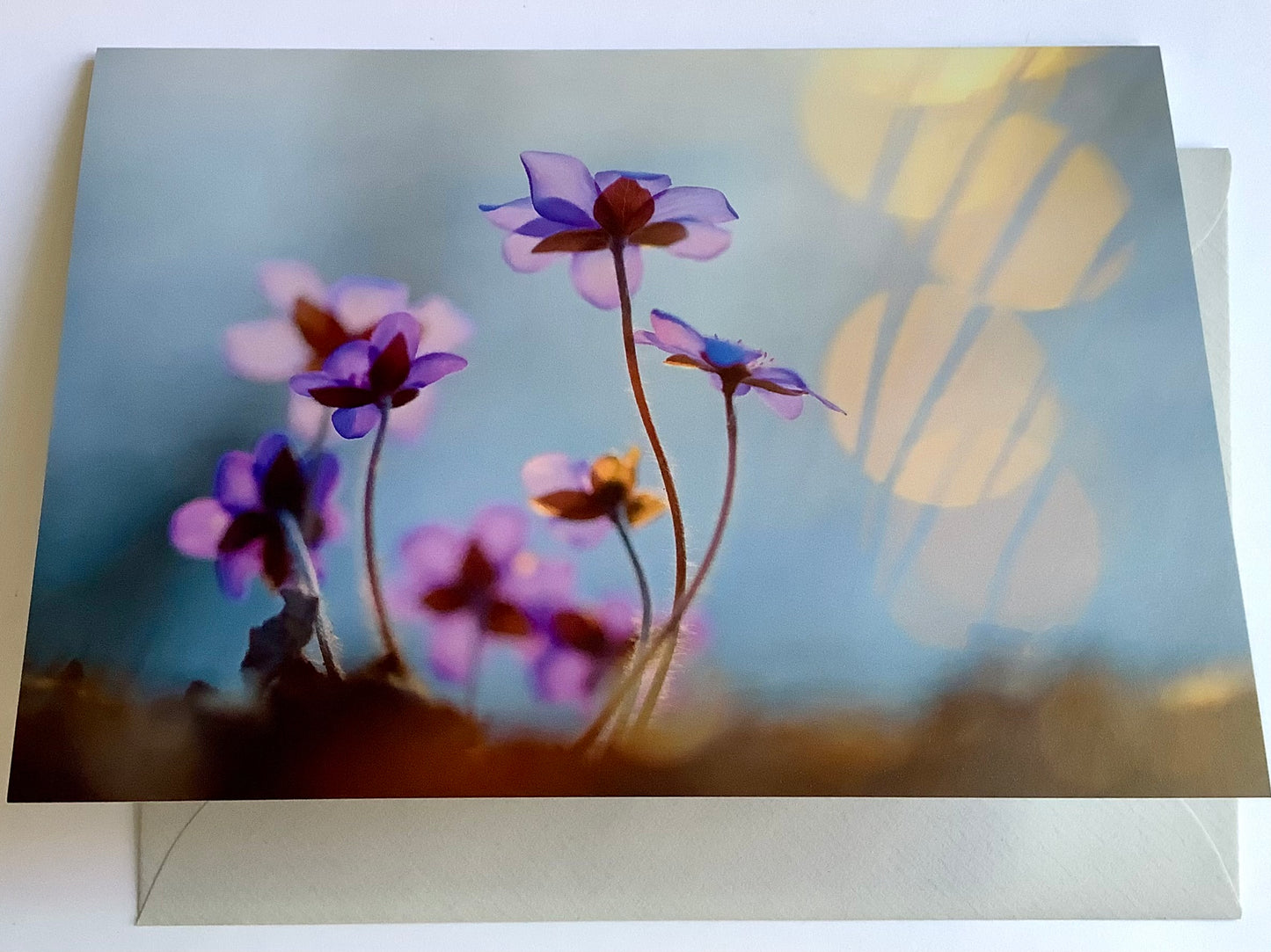 Briefkarte Leberblümchen Einleger Beileid (Sandra Bartocha)