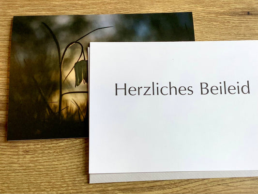 Briefkarte „Letztes Licht“ (art+nature)