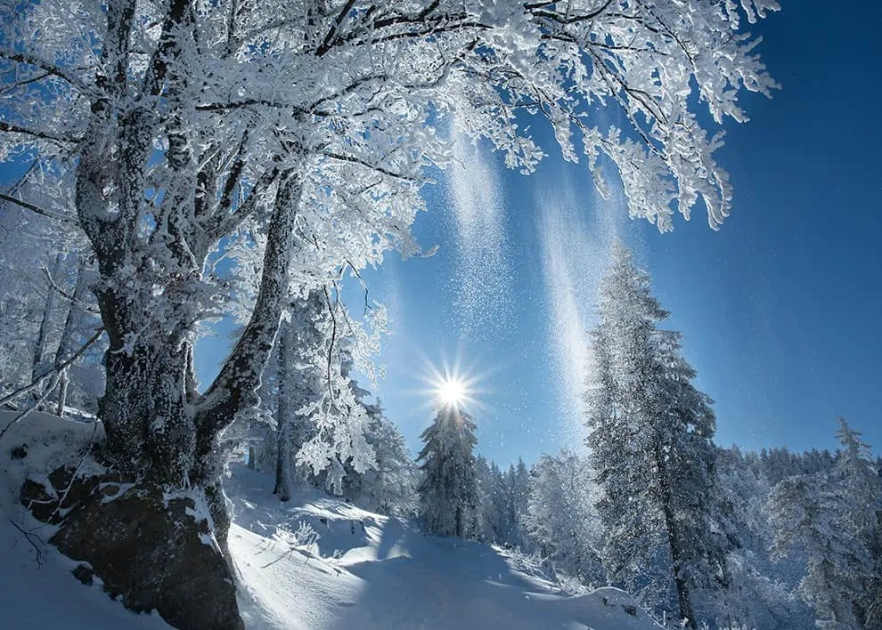 Postkarte Rieselnder Schnee (art+nature)