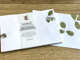 Bütten-Kuverts C6 Klee 10x handgeschöpft
