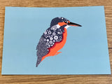 Postkarte Eisvogel (Martha von Maydell)