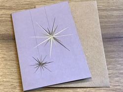 Briefkarte Weihnachtsstern (My Pretty Circus)
