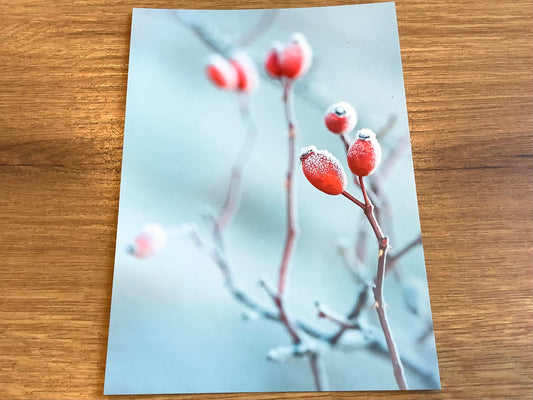 Postkarte Hagebutten Wintermelodie (art+nature) B6
