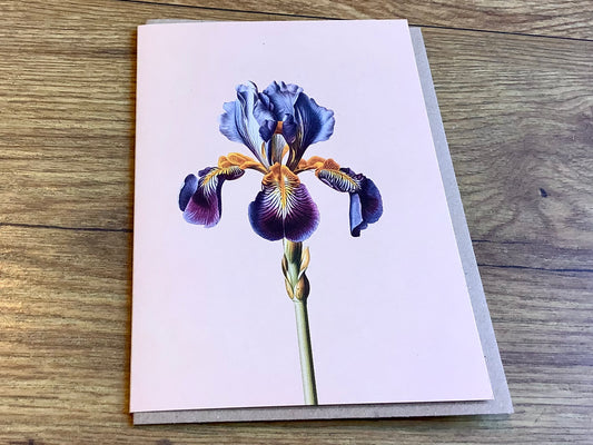 Doppel-Klappkarte A6 Iris ("30x40") Leporello