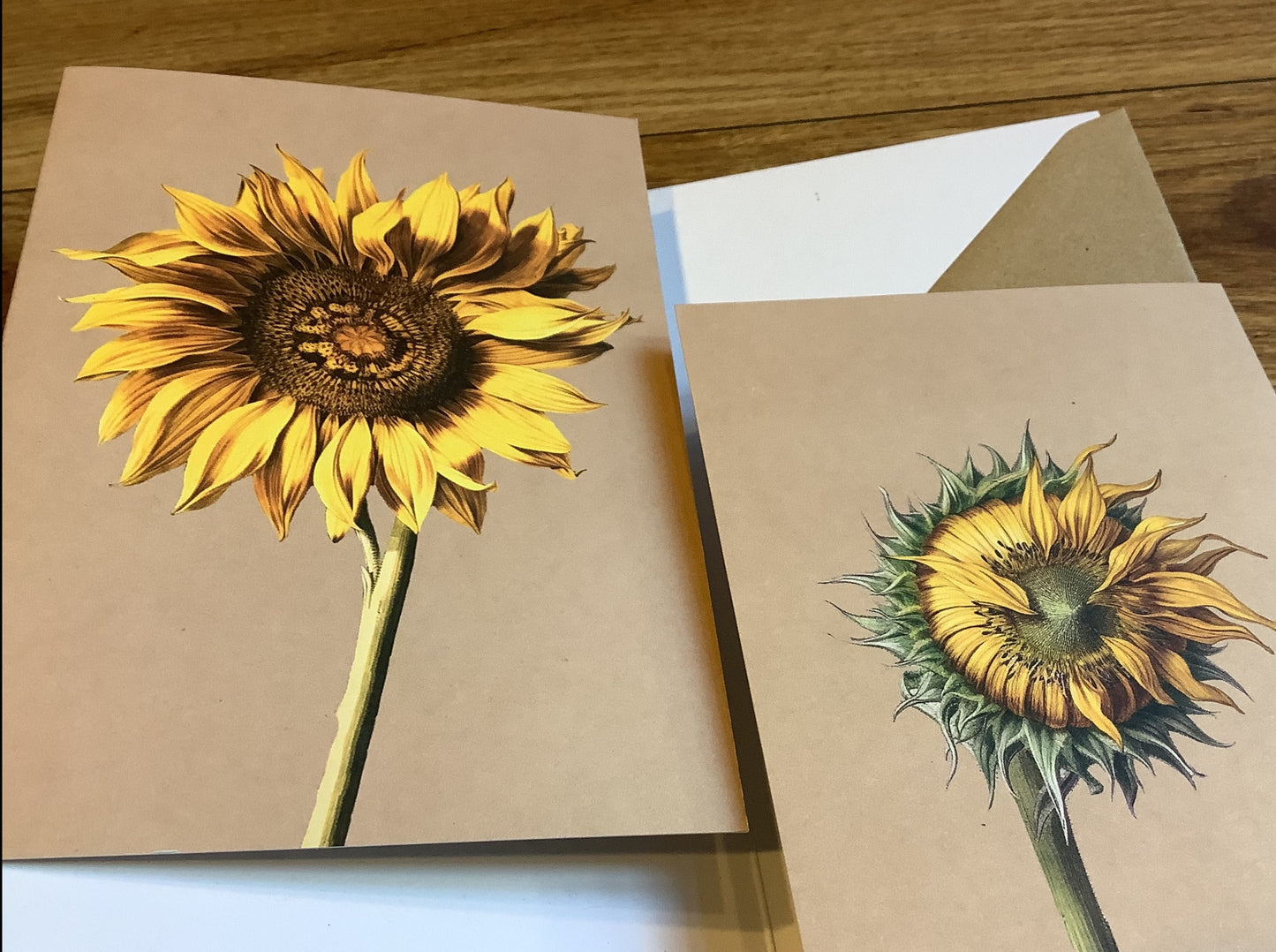 Doppel-Klappkarte A6 Blüten ("30x40") Leporello°