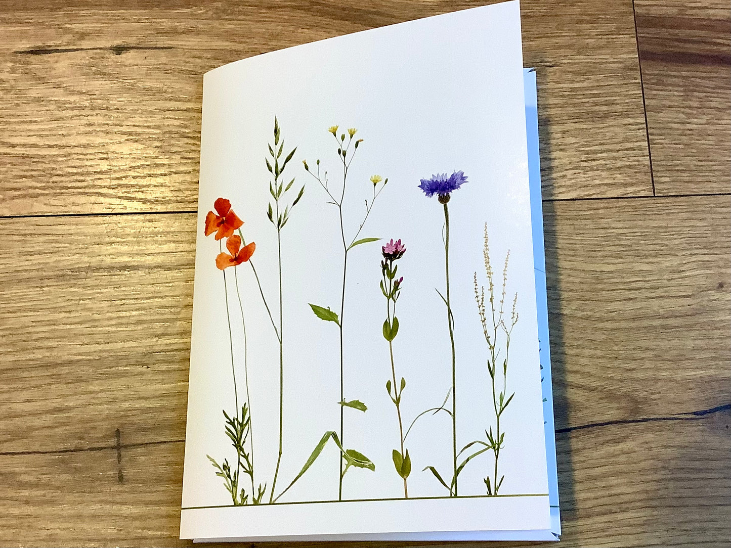 Briefpapier-Set A5 "Wilder Sommer" Blumen