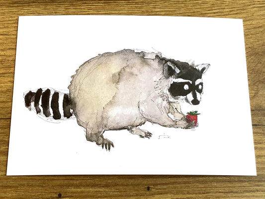 Postkarte Waschbär (JustinTime)
