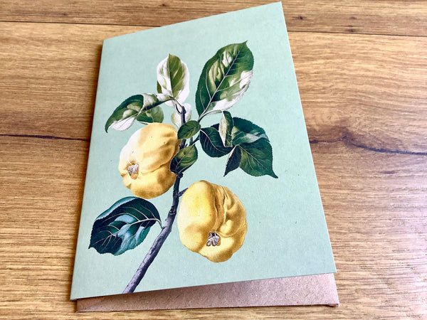 Briefkarte A6 „30x40“°