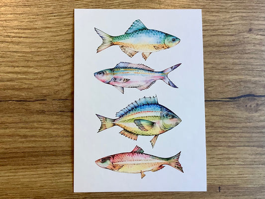 Postkarte Bunte Fische (Ligarti Bambus)