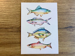 Postkarte Bunte Fische (Ligarti Bambus)
