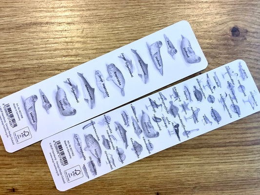 Lesezeichen Küste 5x20cm WUP°