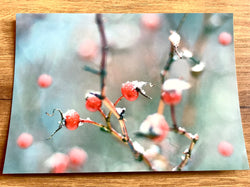 Postkarte Hagebuttentanz (art+nature)