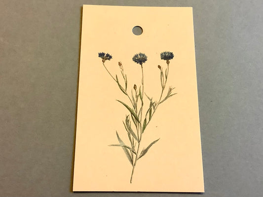Geschenkanhänger Kornblume #3 Lesezeichen ("30x40“)