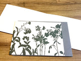 Briefkarte Wiesenkräuter grau B6 (Benner / Kettcards)