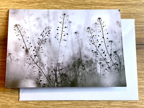 Briefkarte Hirtentäschel Beileid (art+nature)