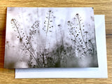Briefkarte Hirtentäschel Beileid (art+nature)