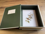 Geschenkschachtel Vögel (Punch Studio)°