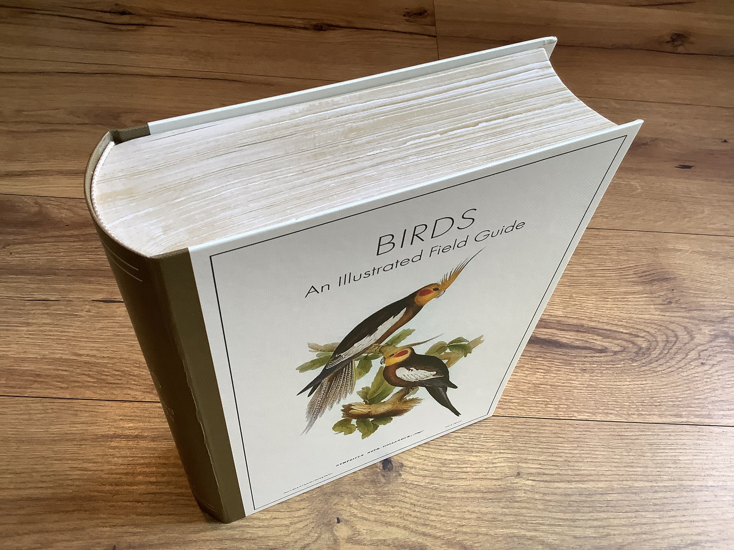 Geschenkschachtel Vögel (Punch Studio)°