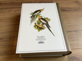 Geschenkschachtel Vögel (Punch Studio)°