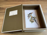 Geschenkschachtel Vögel (Punch Studio)°