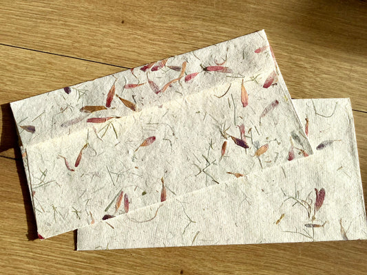 DL Kuvert Hanf Astern einzeln