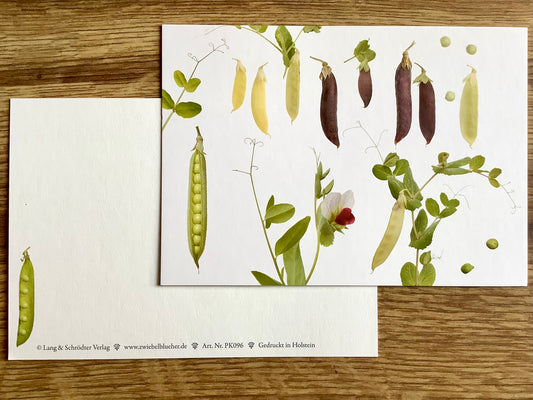 Postkarte Erbsen (Zwiebelblüher)