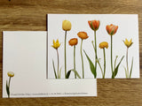 Postkarte Tulpen und Ranunkeln (Zwiebelbl.)