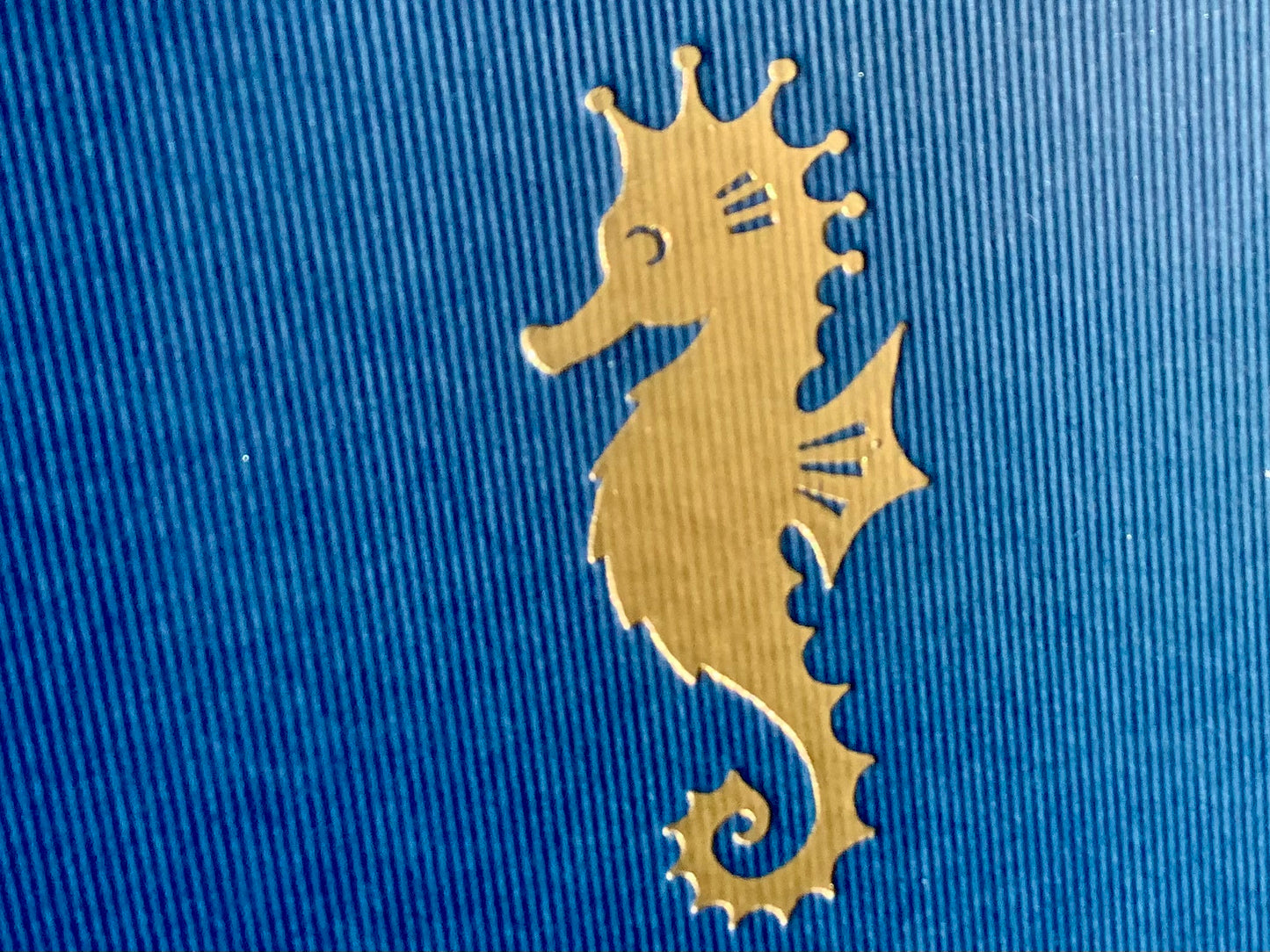Fotoalbum 32x22cm Seepferdchen blau
