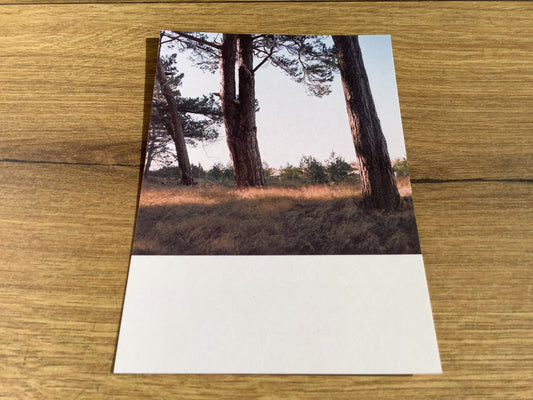 Postkarte Jennifer Deinzer Fotos A6°