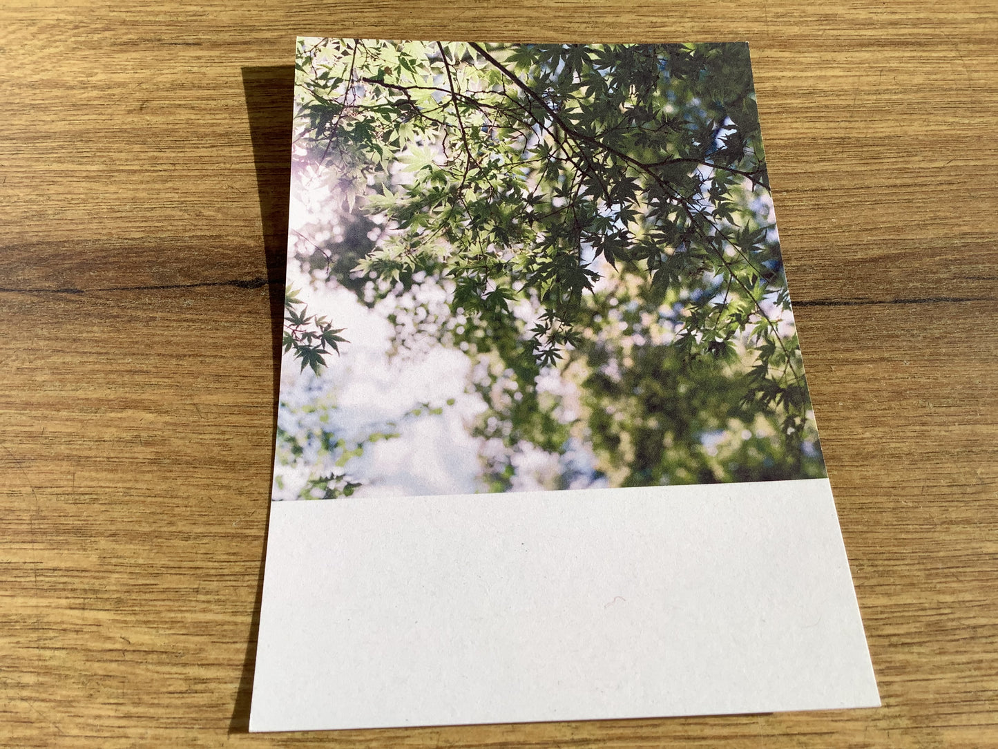 Postkarte Jennifer Deinzer Fotos°