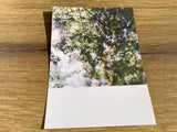 Postkarte Jennifer Deinzer Fotos°