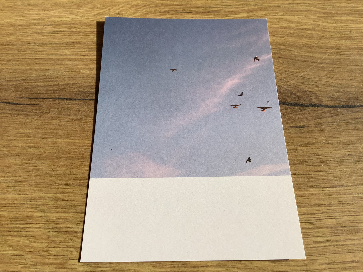 Postkarte Jennifer Deinzer Fotos°