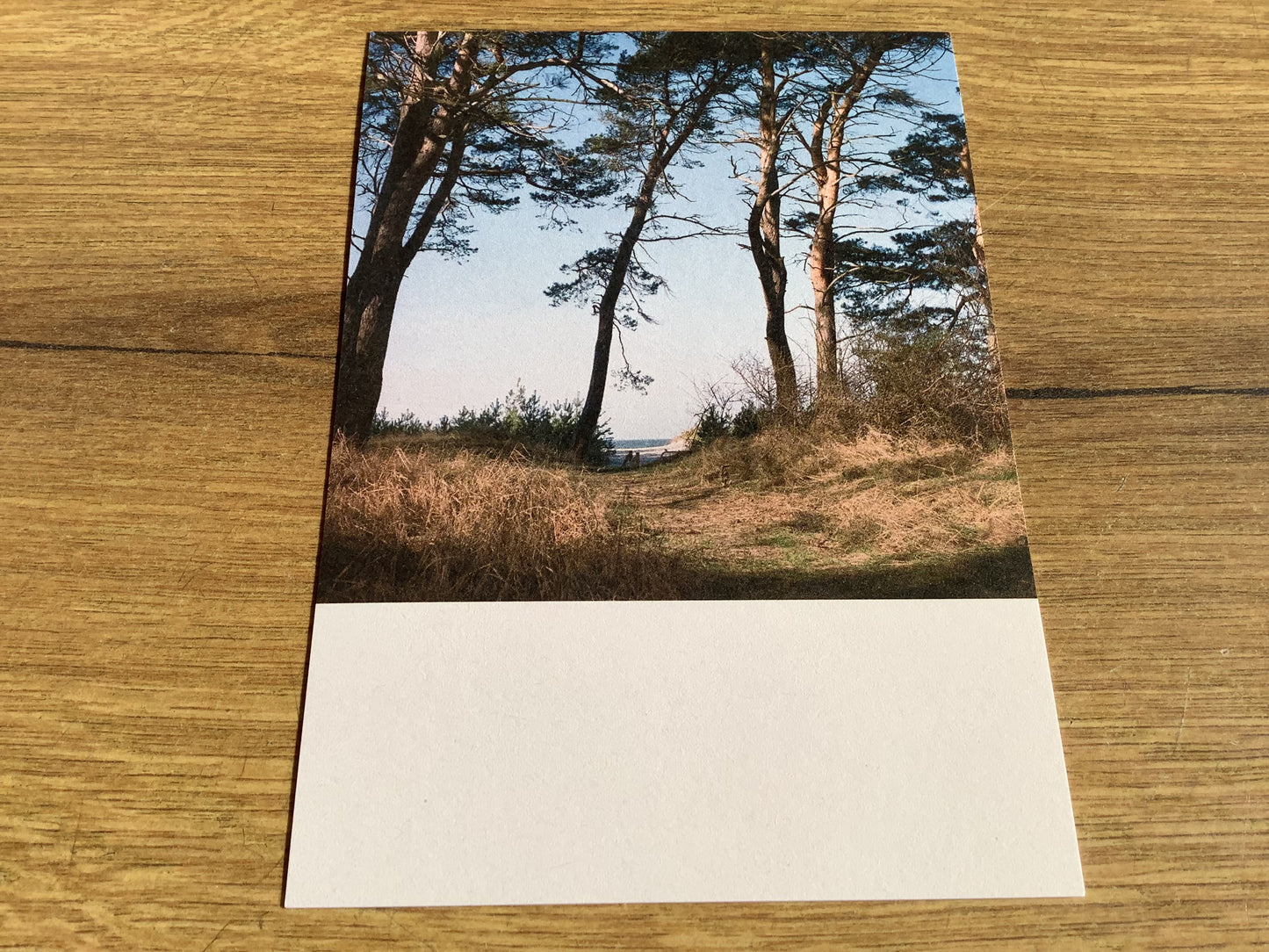 Postkarte Jennifer Deinzer Fotos°