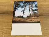 Postkarte Jennifer Deinzer Fotos°
