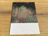 Postkarte Jennifer Deinzer Fotos°